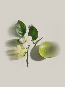 Pourquoi les parfums nous bouleversent (et nous inspirent)